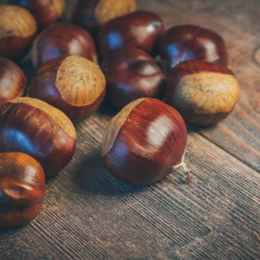 Roasted Chestnut Fragrance Oil