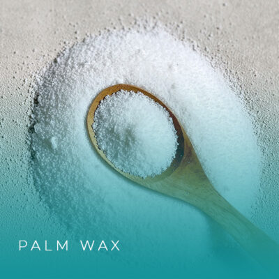 Palm Wax